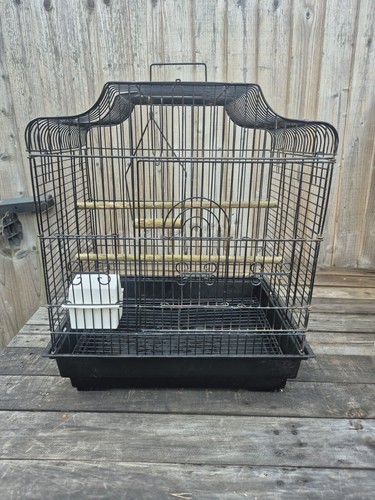 Wundapets black dorset - wundapets,
