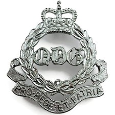 The Queens Bays 2nd Dragoon