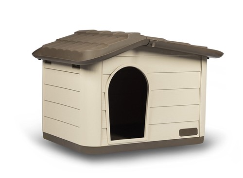 Rosewood outdoor cat - outdoor, and