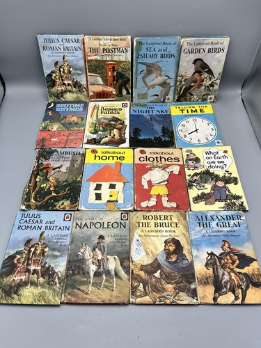 Ladybird book bundle x16 - book,
