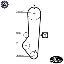 TIMING BELT 5225XS FOR MORGAN