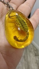 real scorpion keychain