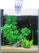 Swell cube fish tank - swell, uk