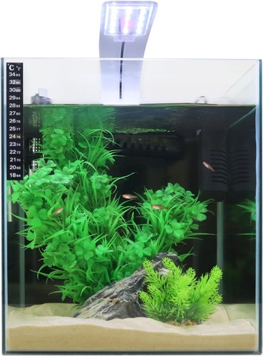 Swell cube fish tank - |, |