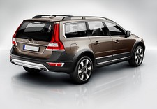 Sloping Dog pet puppy travel