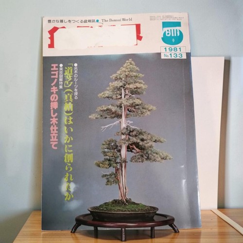 Bonsai world magazine may - magazine, 1981