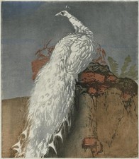 Hans frank pencil - hans,