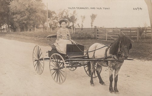 Hilda dennert pony buggy - dennert,