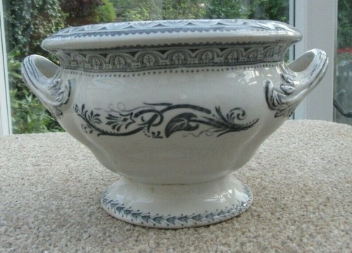 Antique thomas till son - (t),