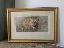 Tony Forrest limited edition signed Tiger print 96/500 Framed Mounted Vgc VTG 