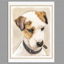 6 Parson Jack Russell Terrier