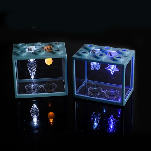 Aquarium mini fish tank - fish,