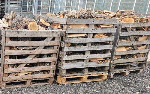 Oak willow logs - &, /