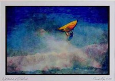 Sailing 339099 O'Neill Cup