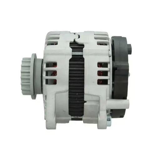 Alternator with freewheel belt