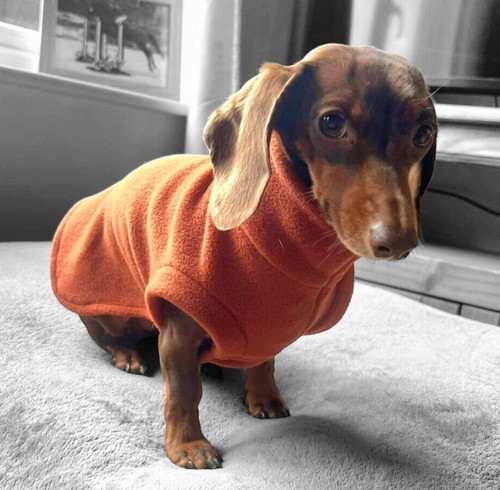 Dog fleece jumper - dog, m