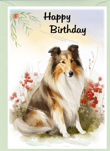 Rough collie dog birthday card - rough,