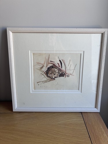 Field mouse water colour - water,