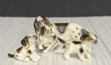 Miniature english setter - english, lot