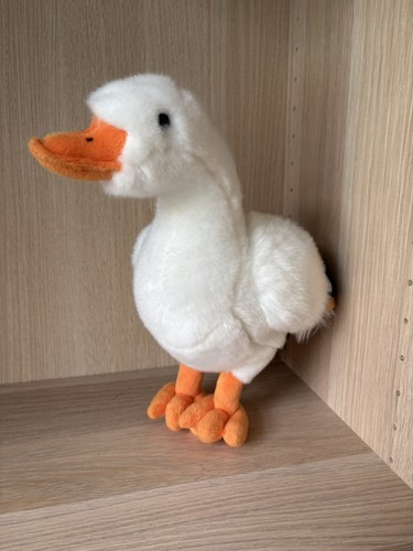 Living nature white duck - living,