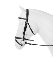 Horse Leather Bridle Flash