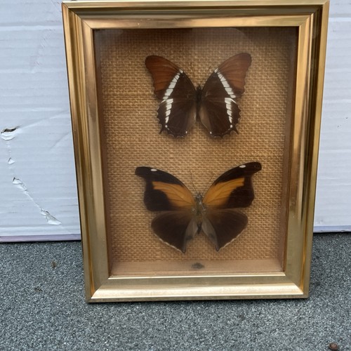 Vintage comacrafts framed - vintage,