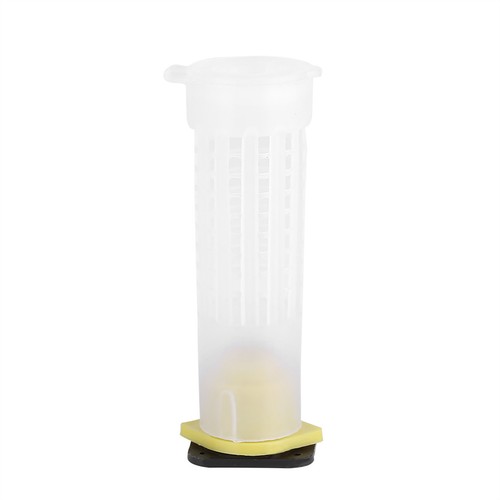 50pcs beekeeping rearing cup - rearing,