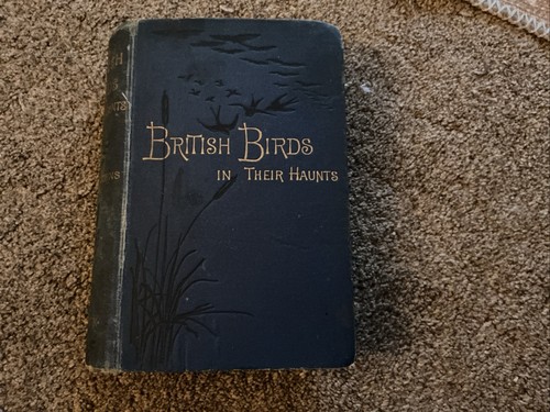 British birds their - in,