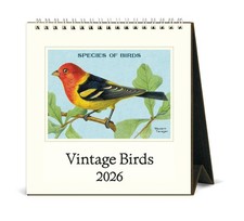 Cavallini - 2026 Desk Calendar - 6 x 6.5ins - Vintage Birds