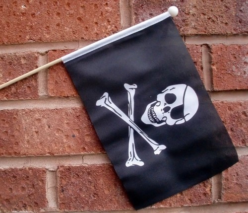 Pirate skull and crossbones - pirate,