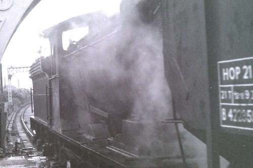 Steam locomotive w photo - steam,