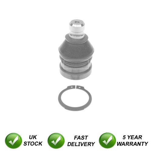 Ball joint front lower - ball,
