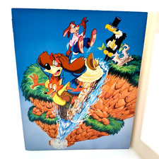 SPLASH MOUNTAIN Attraction