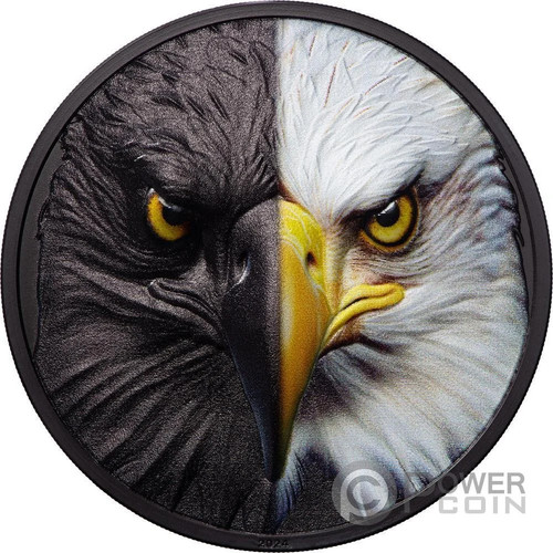 Bald eagle day - and, 3