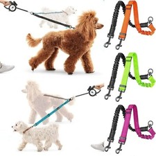 Double Dog Lead Dual Way