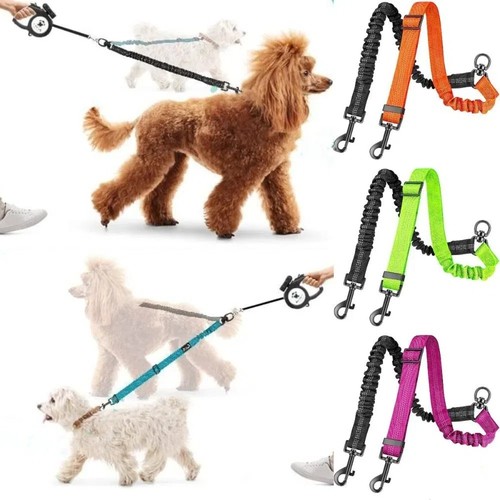 Double dog lead dual - lead, way
