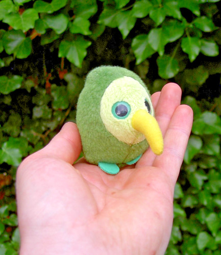 Yoohoo aurora kiwi bird - bird, tiny