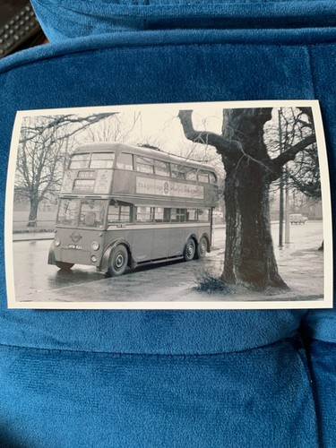 Photo bus coach - photo, memorabilia