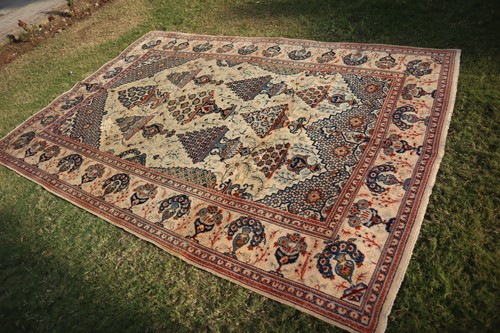 5 foot collectors item - 6.5,