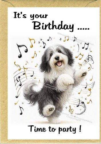 Bearded collie dog beardie - collie,
