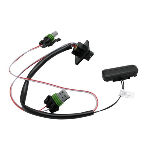 Tailgate opening switch - tailgate,