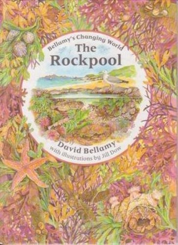 The rockpool david - rockpool, bellamy's