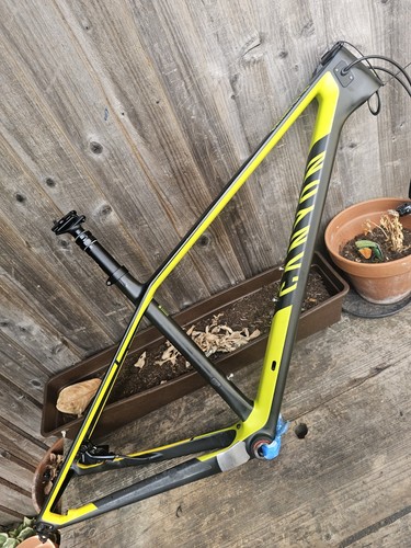 Canyon exceed medium - cf, sl