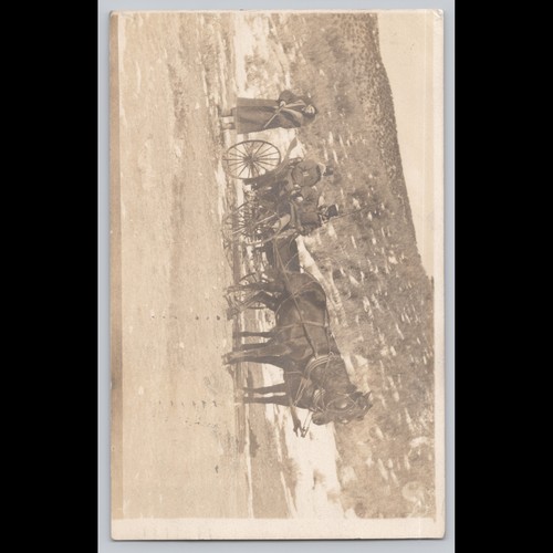 Antique postcard horse - postcard, horse-drawn