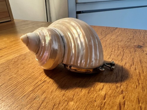 Vintage turbo shell trinket - vintage,