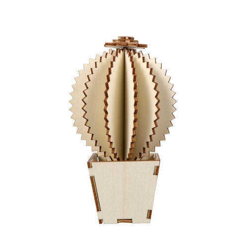 Home cactus decor - cactus,