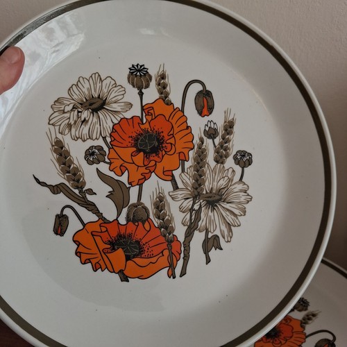 Set dinner plates - set,