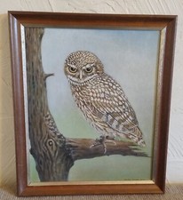 'Little Owl'  Vintage Original Oil Painting -Signed /Dated 1979-Framed-Naive Art