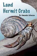 Land hermit crabs - land,