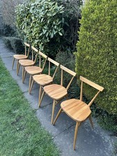 Six Vintage Ercol Adult Size
